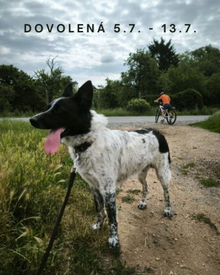 Milí, v termínu 5.7. - 13.7. odpočívám, nebudu tedy k zastižení na malování hennou, moc ani online, děkuji za pochopení a...