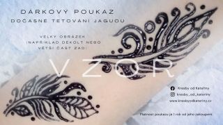 Pokud chceš někomu dopřát zážitek s jaguou, nabízím nově dárkový poukaz přímo na obrázek malovaný jaguou 😊 Poukaz na...